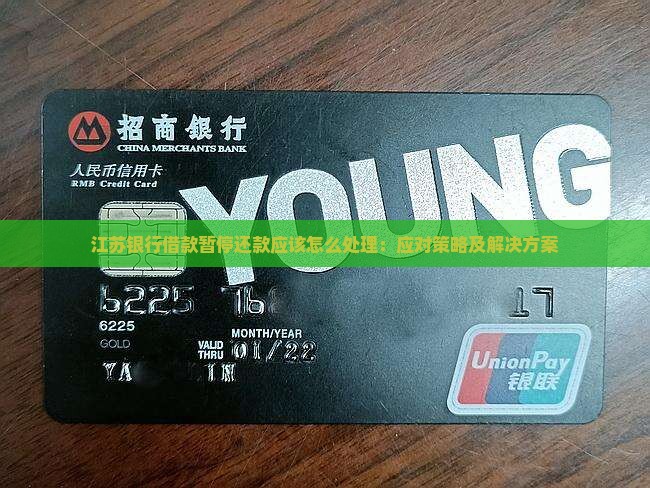 江苏银行借款暂停还款应该怎么处理：应对策略及解决方案