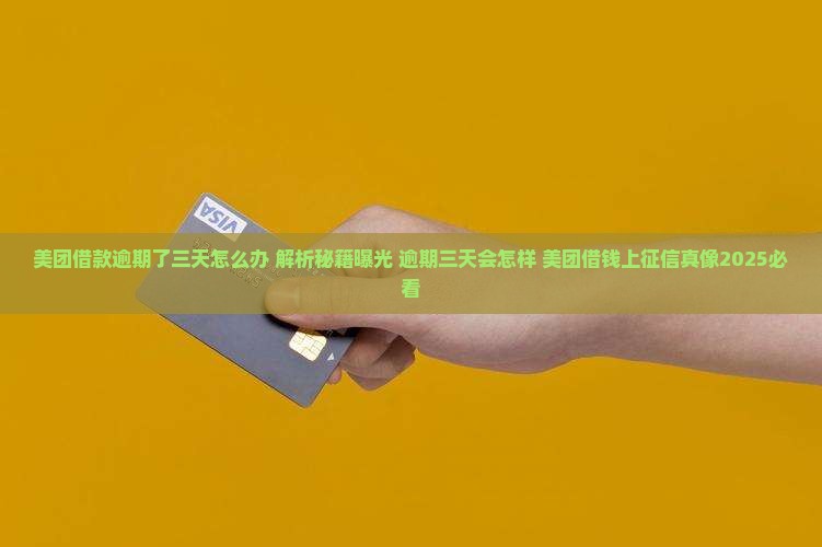 美团借款逾期了三天怎么办