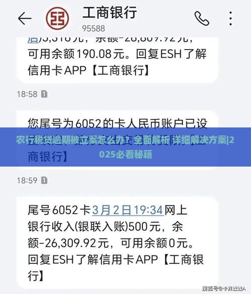 农行税贷逾期被立案怎么处理