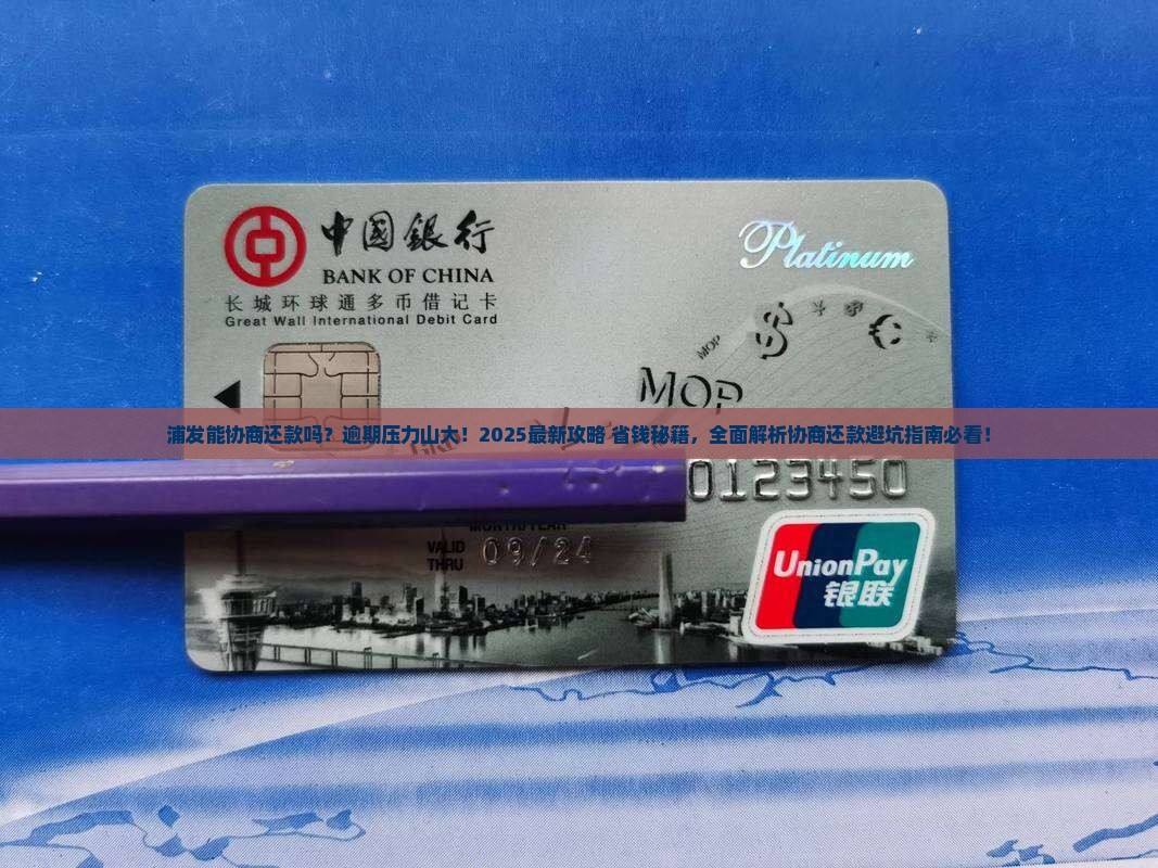 浦发能协商还款吗需要怎样操作
