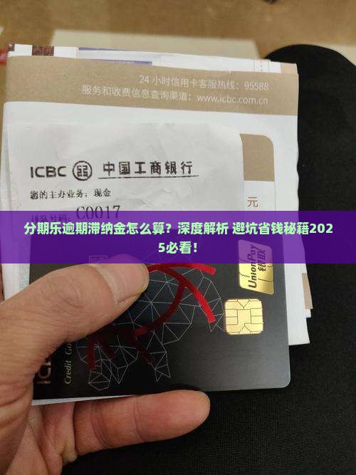 分期乐逾期滞纳金怎么算