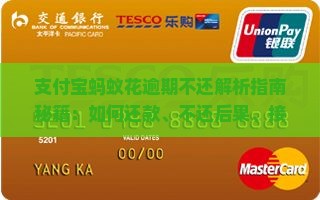 支付宝蚂蚁花逾期不还