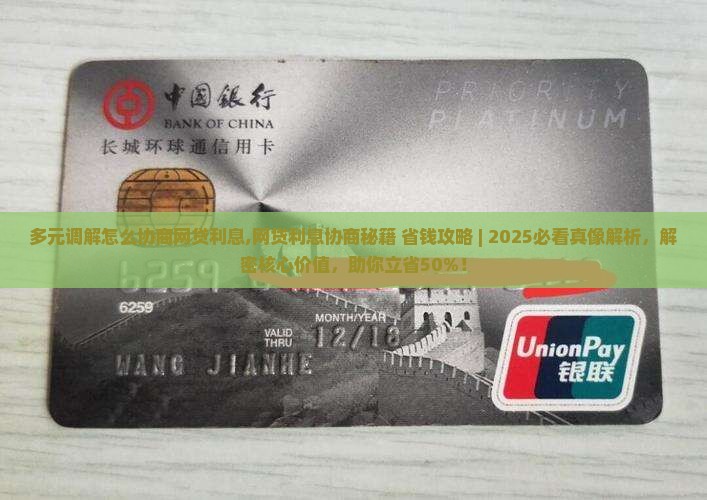 多元调解怎么协商网贷利息