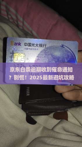 京东白条逾期发来诉前通知应该怎么处理