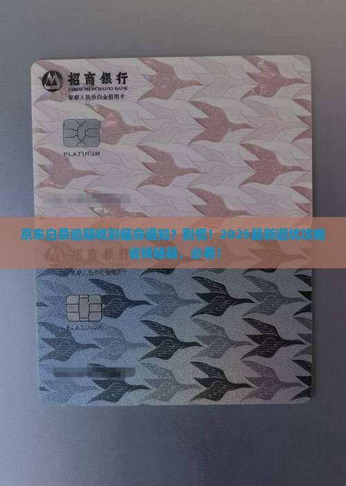 京东白条逾期发来诉前通知应该怎么处理