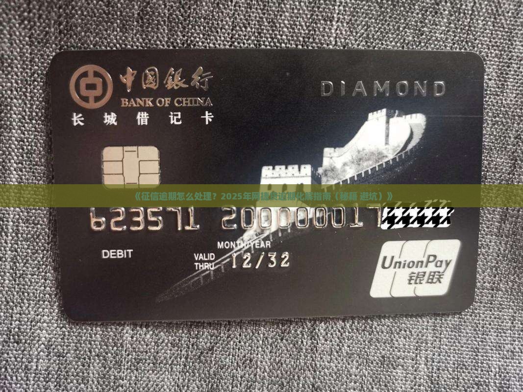 网捷贷逾期上征信了怎么办