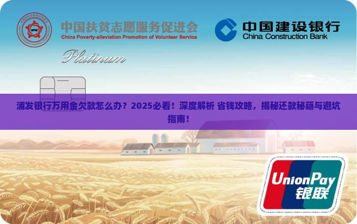 浦发银行万用金欠款怎么办