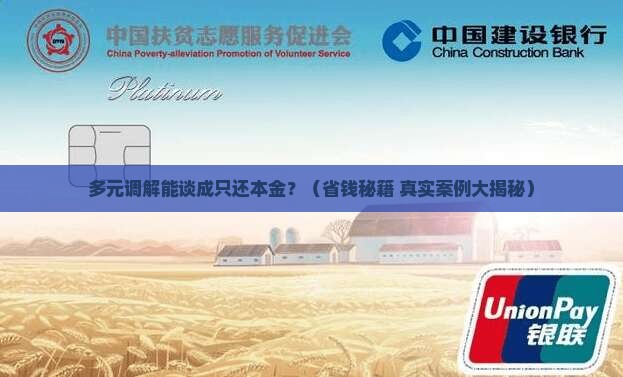 多元调解可以协商只还本金吗