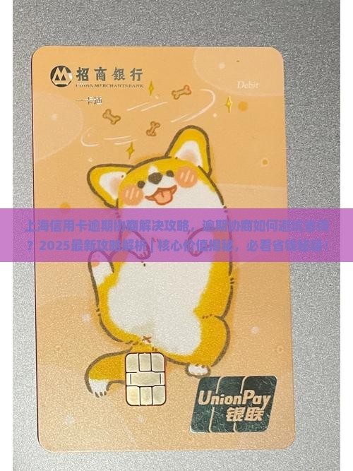 上海信用卡逾期协商解决攻略