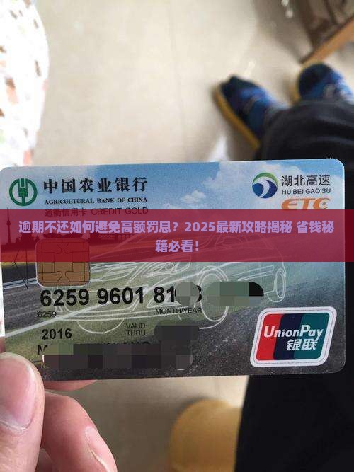 逾期不还