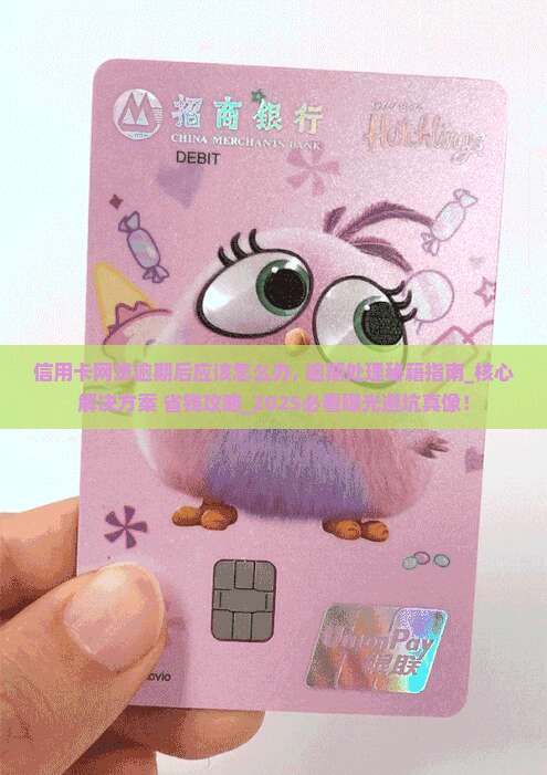 信用卡网贷逾期后应该怎么办