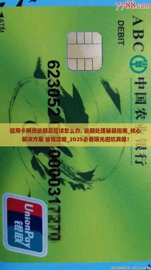 信用卡网贷逾期后应该怎么办