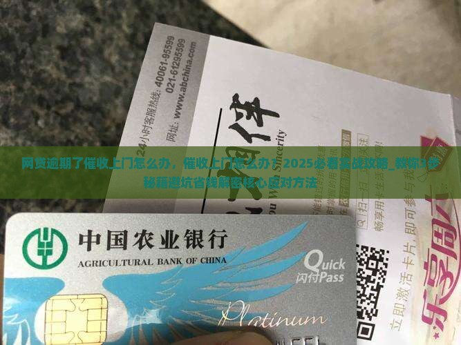 网贷逾期了催收上门怎么办