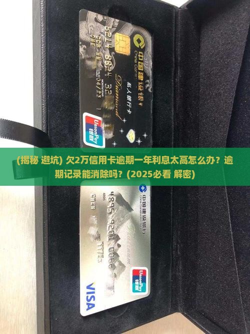欠2万信用卡逾期一年利息该怎么办