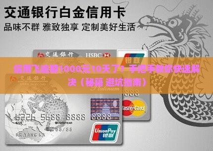 信用飞欠款1000逾期10天了