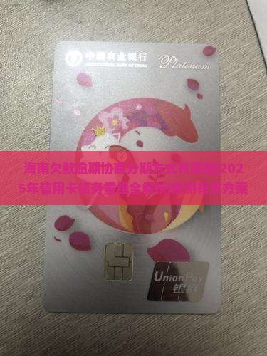 海南欠款逾期协商分期方式有哪些