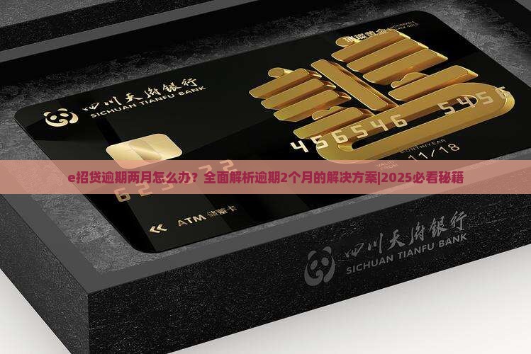 e招贷逾期两月怎么处理