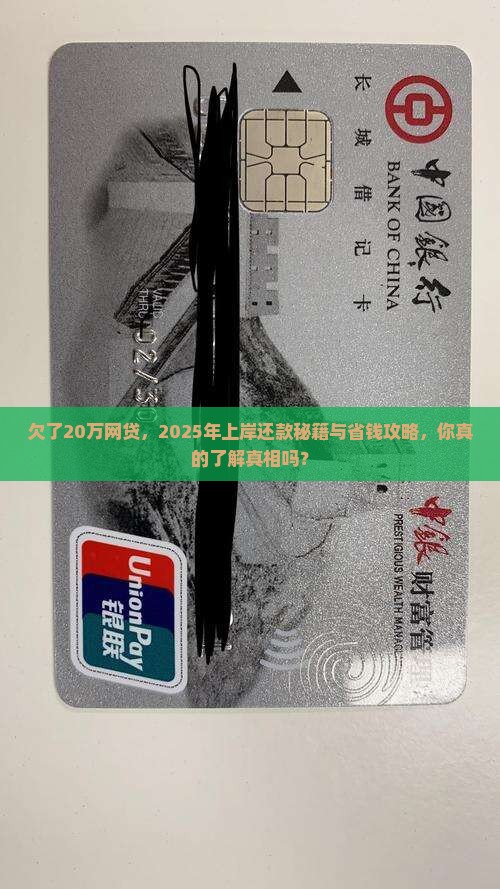 欠了20万网贷如何上岸还款的方法是什么