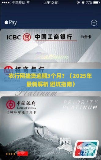 农行网捷贷逾期3个月