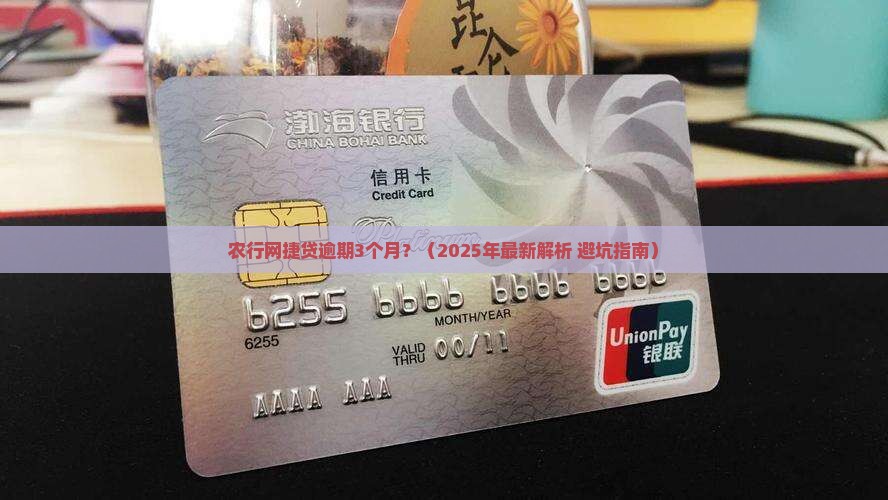 农行网捷贷逾期3个月