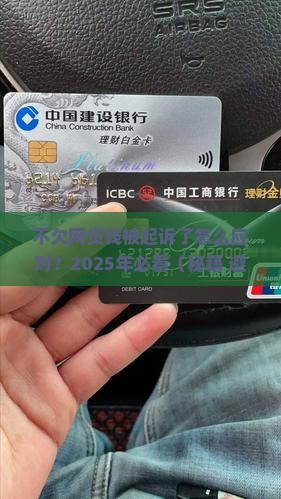 不欠网贷钱被起诉了怎么应对