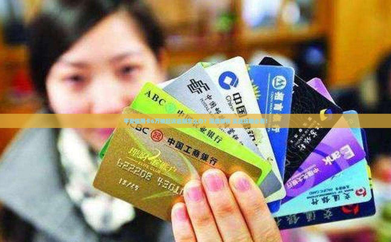 平安银行信用卡6万起诉我
