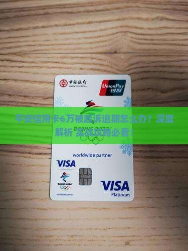 平安银行信用卡6万起诉我