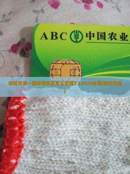 微粒贷第一期逾期未还怎么处理