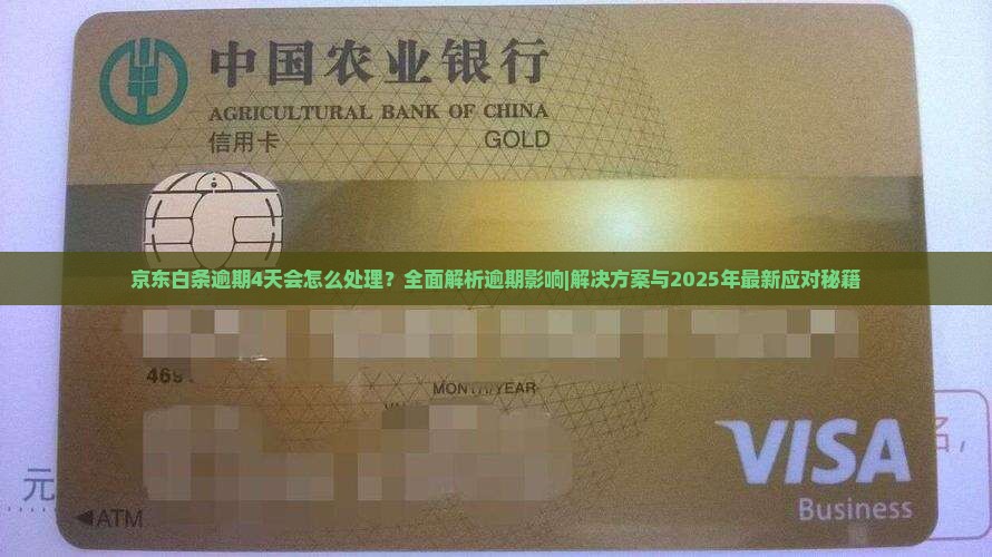 京东白条逾期4天会怎么处理