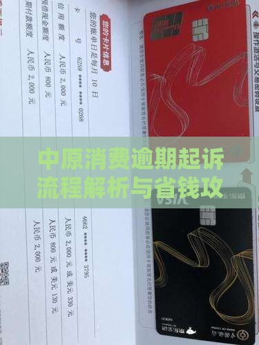 中原消费大额逾期起诉流程及法律解读