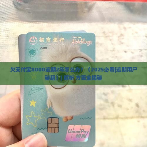 欠支付宝8000逾期2年如何处理