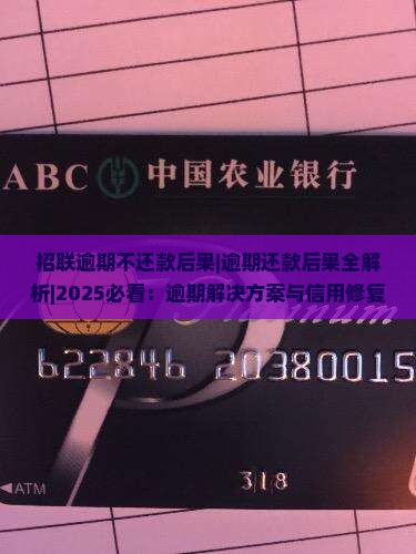 招联逾期不还款后果