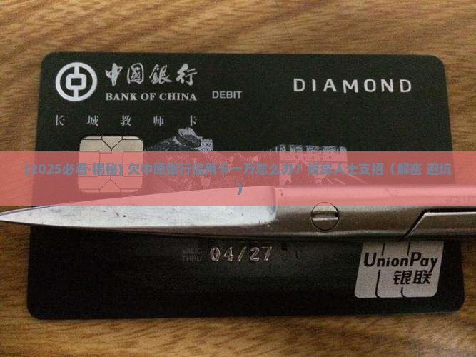 欠中原银行信用卡一万怎么办