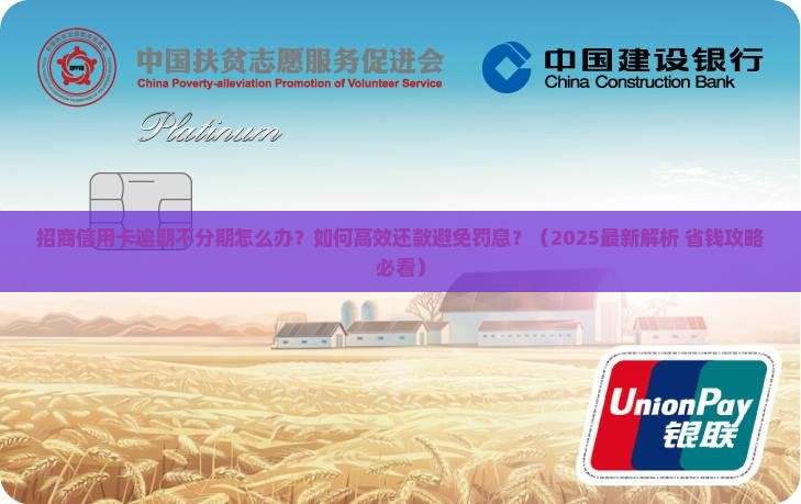 招商信用卡逾期不分期怎么办还款方法是什么