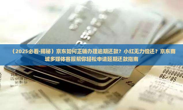 京东如何协商延期还款的钱
