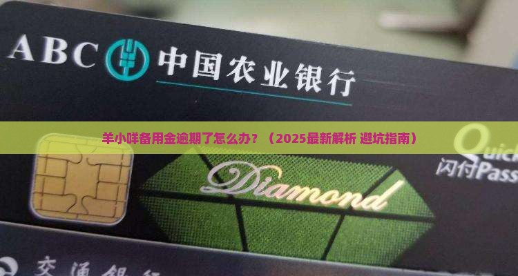 羊小咩备用金逾期了如何处理