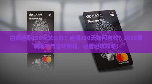 白条逾期230天怎么办