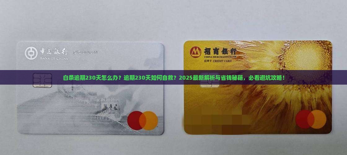 白条逾期230天怎么办