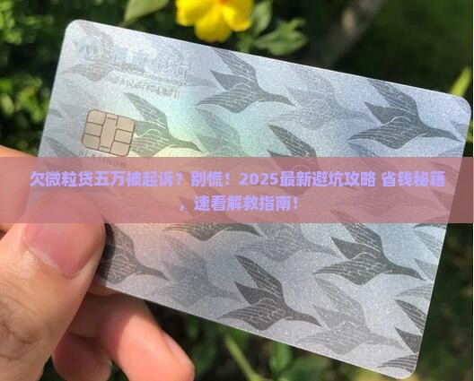 欠微粒贷五万元被起诉怎么办