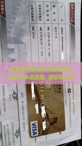 浦发银行浦慧税贷延迟还款详解及申请流程