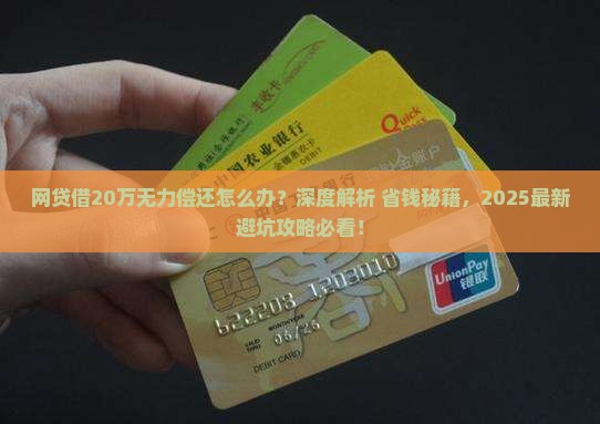 网贷借20万无力偿还怎么办