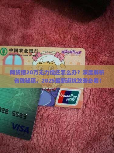 网贷借20万无力偿还怎么办