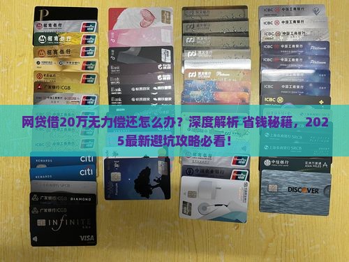 网贷借20万无力偿还怎么办
