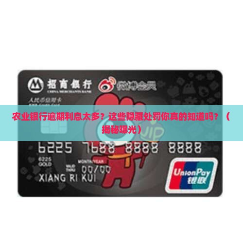 农业银行逾期利息太多会怎么处罚