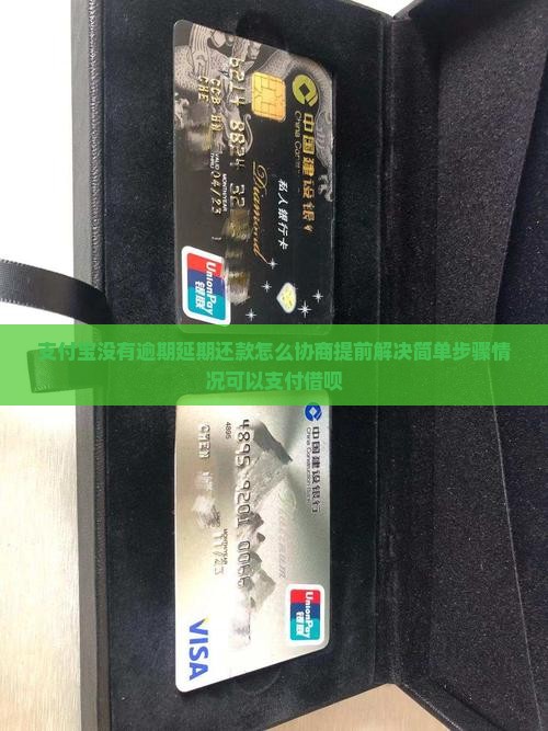 支付宝没有逾期延期还款怎么协商提前解决