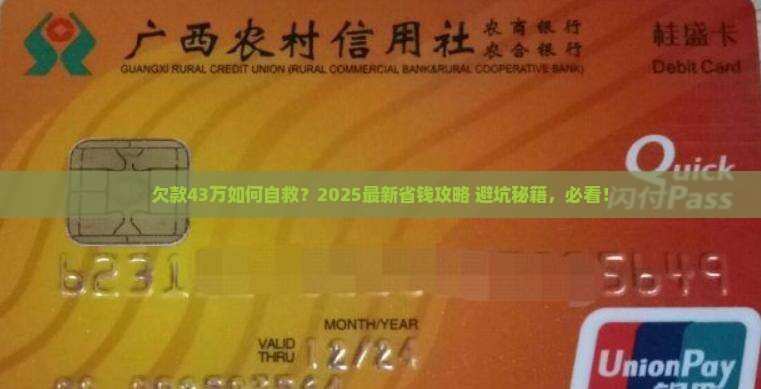 欠款43万怎么办