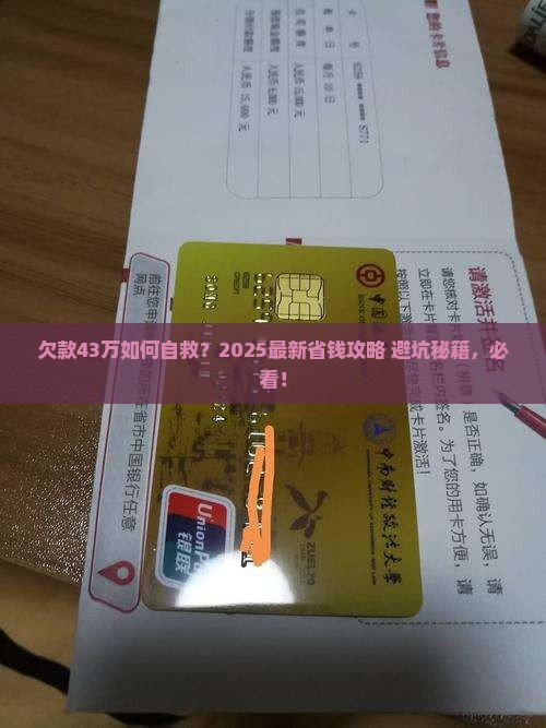 欠款43万怎么办