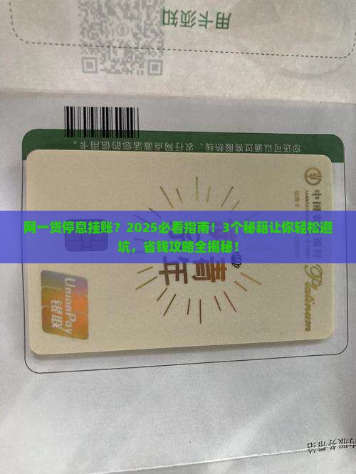 网一贷停息挂账会有什么影响