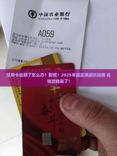 今年信用卡逾期怎么办解决方法