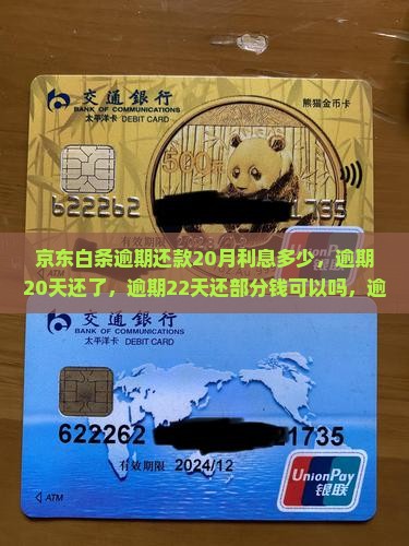 京东白条逾期还款20月